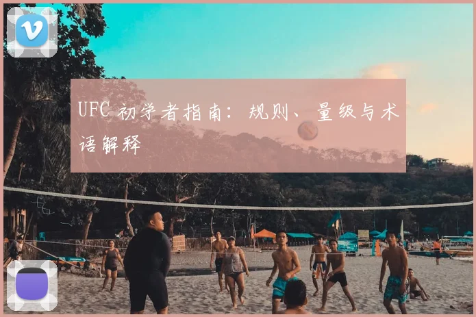 UFC 初学者指南：规则、量级与术语解释