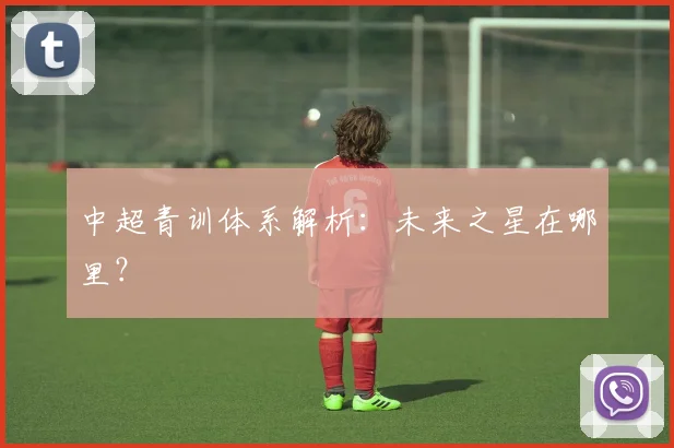 中超青训体系解析:未来之星在哪里?