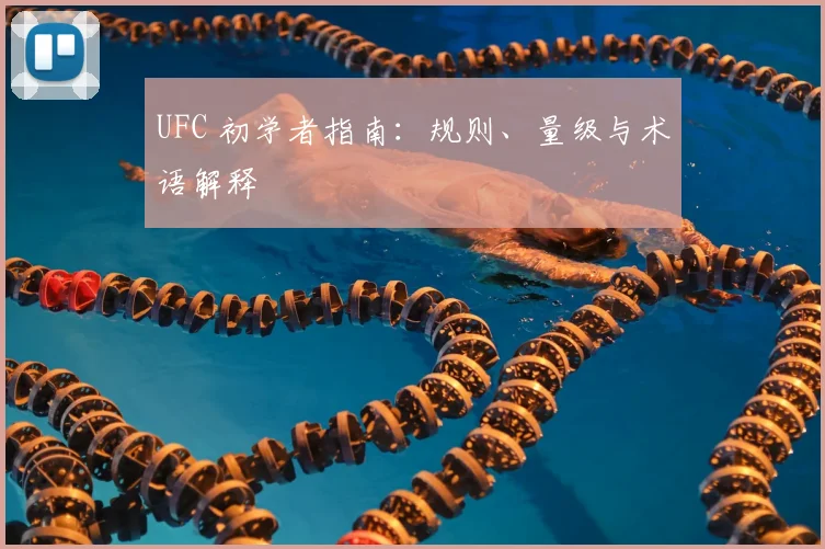 UFC 初学者指南：规则、量级与术语解释