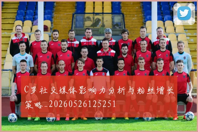 C罗社交媒体影响力分析与粉丝增长策略_20260526125251